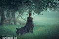 Conoce el origen de la palabra «bruja»