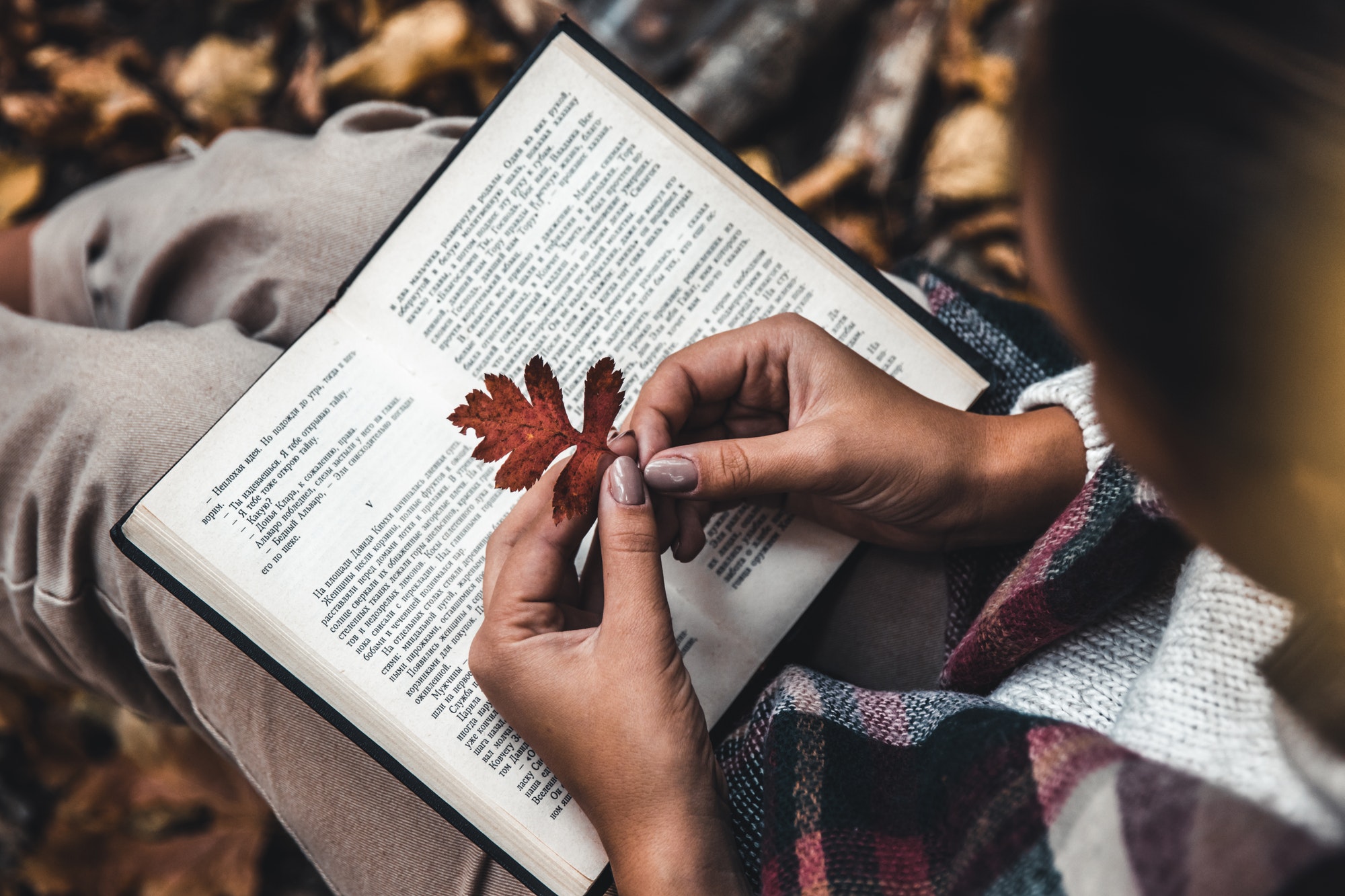 Autumn concept, an open book in the hands of a girl with yellow leaves