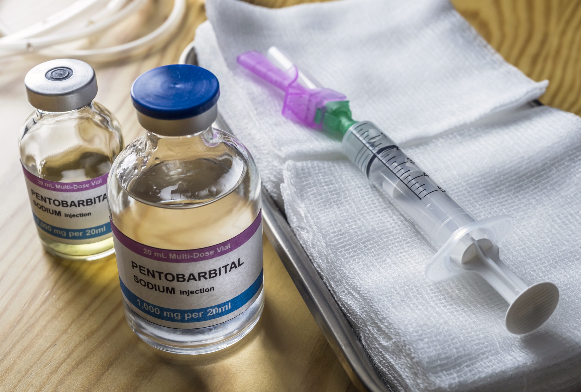 Vial with pentobarbital Sodium injection used for euthanasia