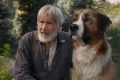 ‘El llamado salvaje’ la nueva aventura de Harrison Ford junto a un canino de gran corazón