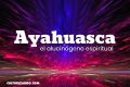 ¿Qué es la ayahuasca? Conoce su uso en el arte y como droga terapéutica