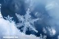 Descubierto el origen de las diferentes formas de los cristales de hielo