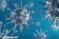 La OMS admite que es posible la transmisión aérea del coronavirus por aerosoles en entornos cerrados