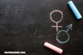 ¿El cerebro de los hombres y las mujeres realmente es diferente?
