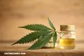 “Desarrollar tolerancia” y otras mentiras o mitos alrededor del CBD