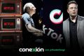 Conexión: Netflix gratuito; Hans Zimmer lo vuelve a hacer; TikTok más enredado; Elon Musk en nuestro cerebro