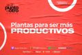 Plantas para ser más productivos • De un punto al otro – T1E9 • Culturizando