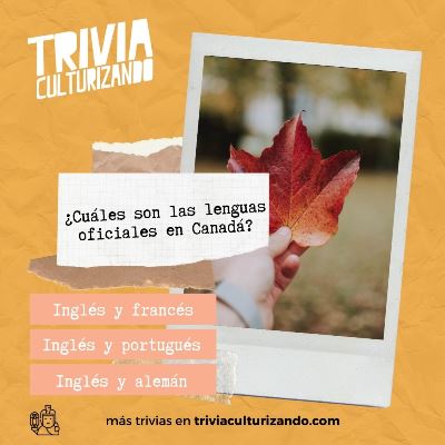 ¿Hasta dónde puedes llegar? Descubre si realmente eres bueno en cultura general