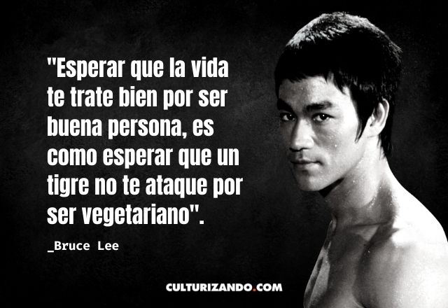 15 grandes frases de Bruce Lee –  | Alimenta tu Mente