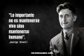 Lo mejor de George Orwell (+ Frases)