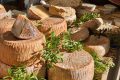 Casu marzu: el excéntrico queso italiano prohibido