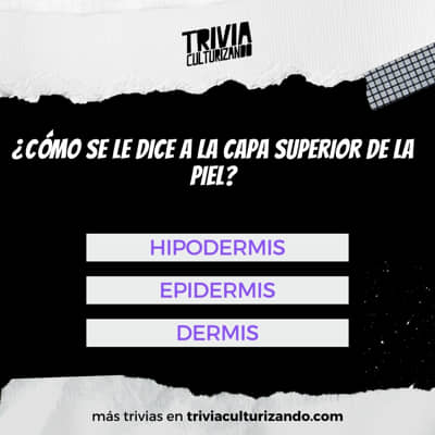 Test: ¿Cuánto sabes de anatomía?