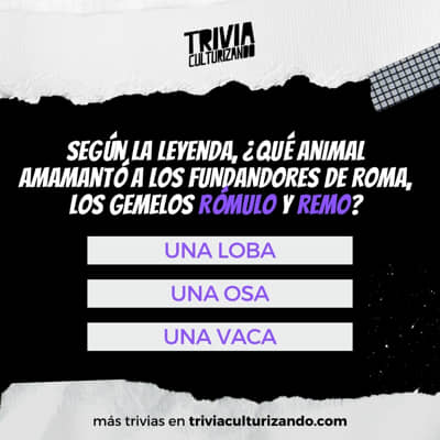 ¿Cuántas preguntas puedes acertar de esta trivia?
