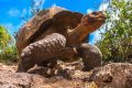 El Archipiélago de Galápagos, un paraíso de diversidad y descubrimientos