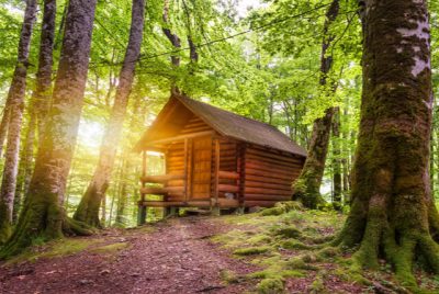 Tener una cabaña de madera tiene sus beneficios ¡Conócelos! –   | Alimenta tu Mente