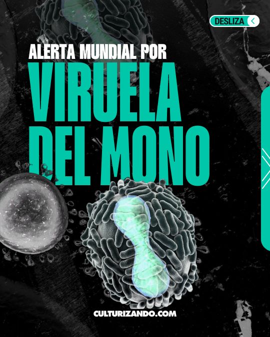 Mpox: ¿La alerta mundial por la viruela del mono debe preocuparnos o no?