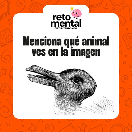 ¿Pato o conejo? Lo que veas dirá mucho sobre ti