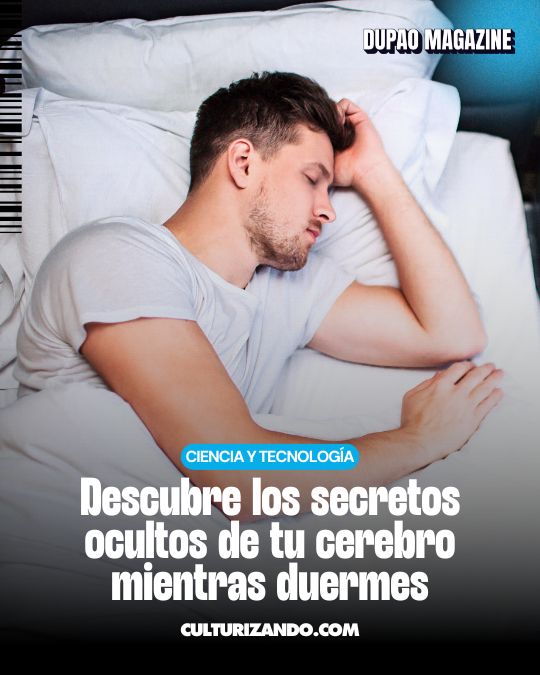 Los sueños: las aventuras del cerebro dormido y su posible función biológica
