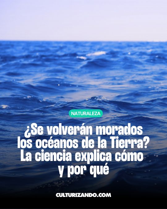 ¿Se volverán morados los océanos de la Tierra? La ciencia explica cómo y por qué