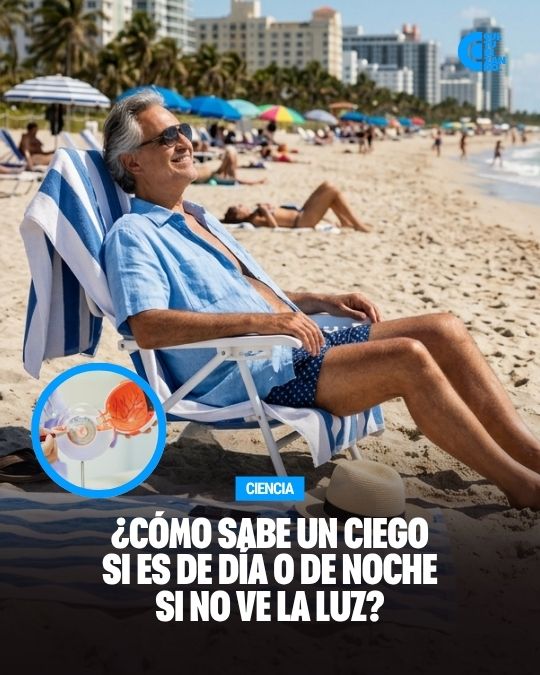 ¿Cómo puede percibir una persona ciega si es de día o de noche si no ve la luz?