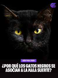 ¿Por qué los gatos negros se asocian a la mala suerte?