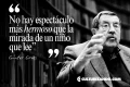 Günter Grass: el Nobel que ocultó su oscuro pasado en Alemania (+ Frases)