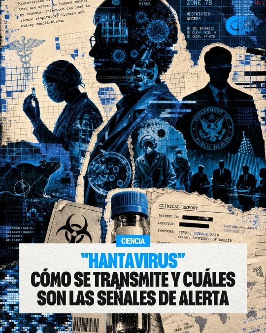¿Qué son los hantavirus y qué peligro representan?