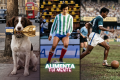 Alimenta tu Mente: Trofeo robado, Francia de verde y blanco y la India descalza