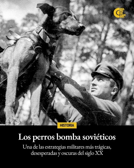 Los perros bomba: El cruel experimento de los Soviéticos en la Segunda Guerra Mundial