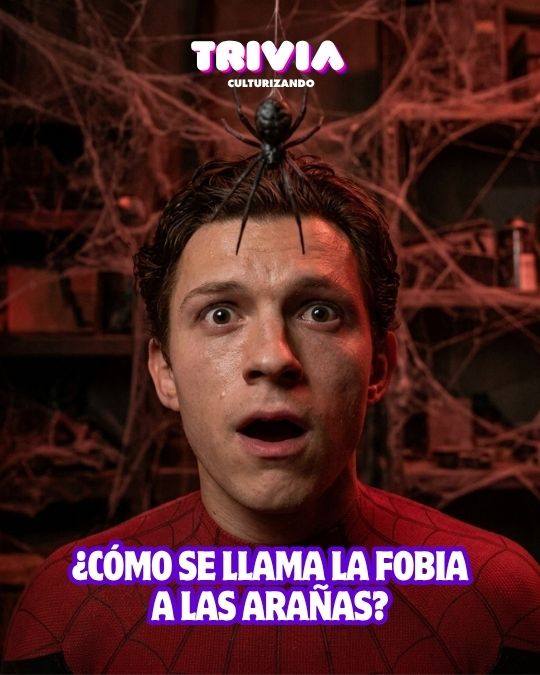 ¡10 interesantes preguntas acerca de cultura general!