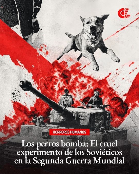 Los perros bomba: El cruel experimento de los Soviéticos en la Segunda Guerra Mundial